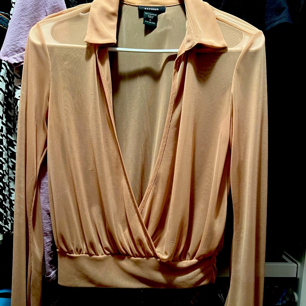 Express see through long sleeve  top